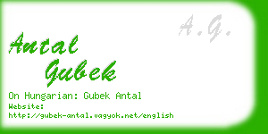 antal gubek business card